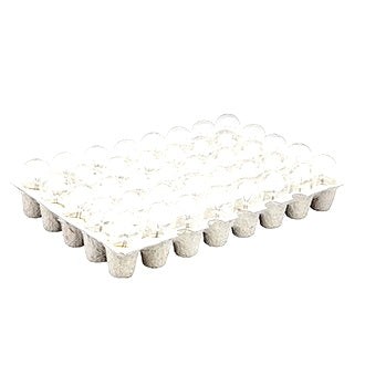 Bayonet Globe [PKT 40] 21W BA15S Standard Trade Pack